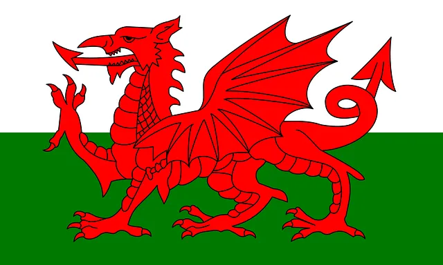 ウェールズの国の旗。赤いドラゴンが描かれている